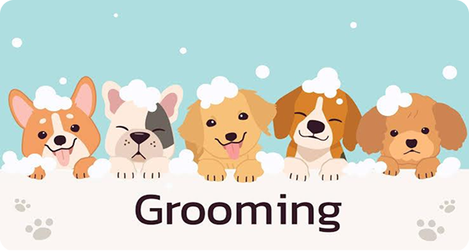 Pet Grooming Session