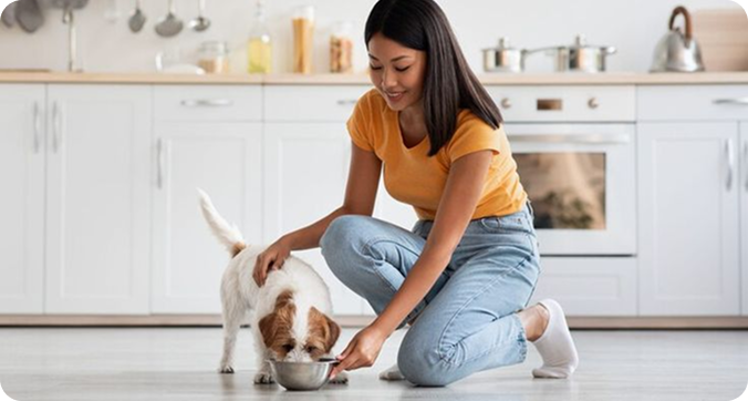 What to Feed Your Dog Based on Age & Size